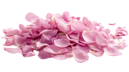 Obraz premium Pink leaves on transparent background