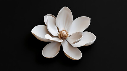 3D Render of a White Magnolia Flower Isolated on a Black Background.