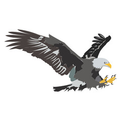 Eagle vector art design