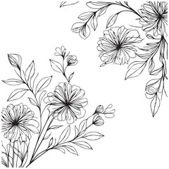 hand drawn flowers
