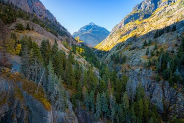 Fototapeta premium Mountain Landscape with Lush Forests
