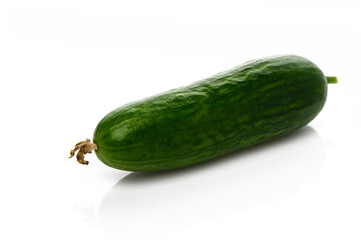 Fresh cucumber showcasing vibrant green color on white surface in a minimalist setting