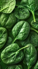 Closeup of fresh spinach leaves natural setting food healthy environment vibrant green tone