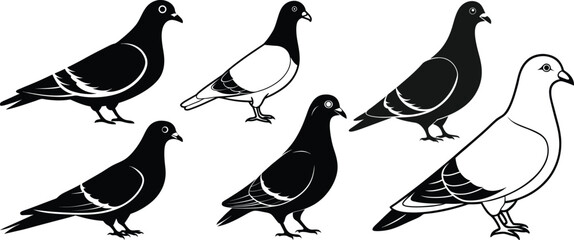 pigeon silhouette vector illustration