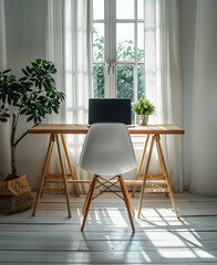 Minimalist Desk Setup with Laptop, Ergonomic Chair, and Indoor Plant