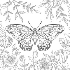 illustration of a butterfly coloring page 