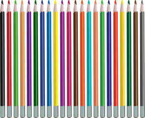 colored pencils  crayons. vector, colored pencils . crayons isolated on white background.