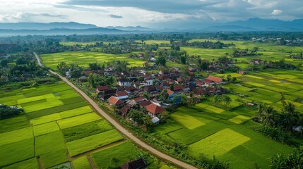 Serene Rice Paddies Village: An aerial view captures a picturesque village nestled amidst vibrant green rice paddies, creating a tranquil and idyllic scene.