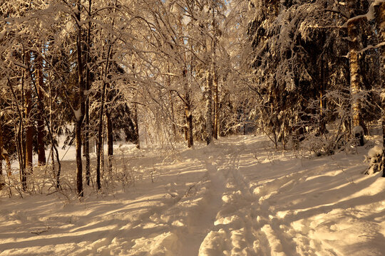 Winter