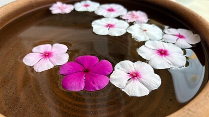 pink flowers and white flowers in a bowl.