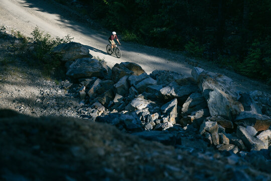 Cyclist on a gravel road winding through a dense forest with shadows