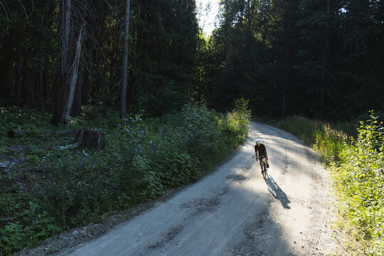 Biking through a forest road, blending endurance, adventure