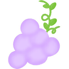 purple grapes 