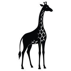 Obraz premium The giraffe appears lofty when viewing this exceptional graphic image.