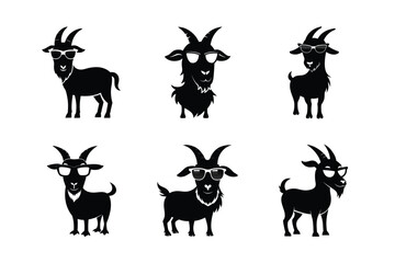 Naklejka premium With sunglasses, the goat baby gets rather lovely.