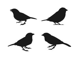 set of silhouettes of sparrows, silhouettes of birds. Sparrow silhouette vector art illustration. The sparrow silhouette vector illustration. silhouette on a white background.