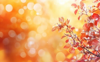 Obraz premium Vibrant Autumn Foliage with Glowing Bokeh Effect and Soft Light Background Creating a Magical Fall Atmosphere for Seasonal Inspiration