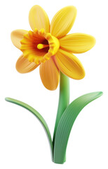 PNG Vibrant yellow daffodil illustration