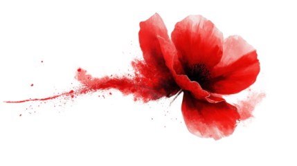 Red flower on transparent background