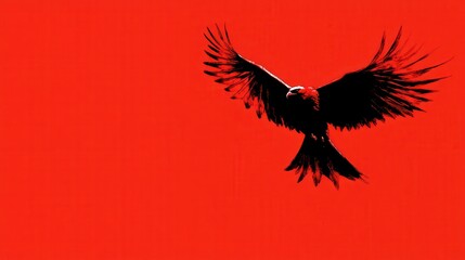 Fototapeta premium Majestic bird of prey soaring against a vivid red backdrop with outstretched wings