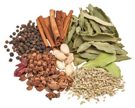 A variety of spices and herbs arranged artistically for culinary use.
