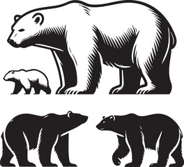 Bear vector in black and white