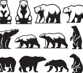 Bear vector in black and white