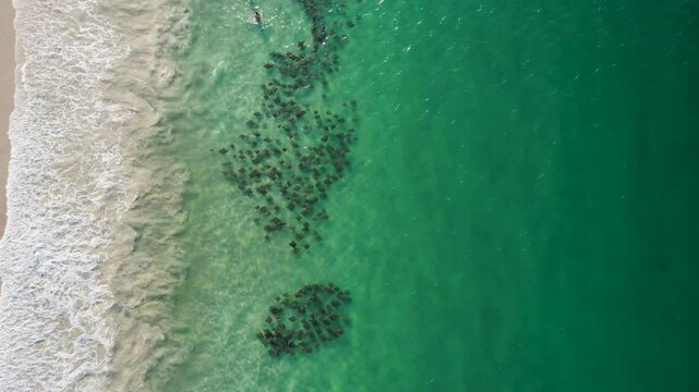 Arraias em Bombinhas - Santa Catarina - Brasil 