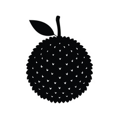 lychee vector illustration