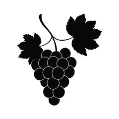 bunch of grapes vector illustration