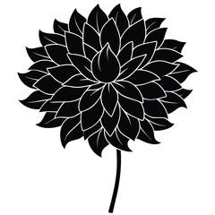 abstract flower vector illustration