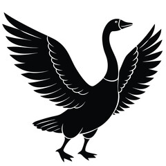 duck vector illustration