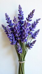 Naklejka premium A bundle of branches adorned with dried lavender purple blue flowers, arrangement, botanical