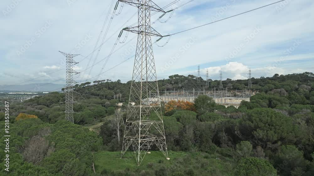 Poster power lines and an electrical substation are nestled within a wooded area, underscoring the intersec