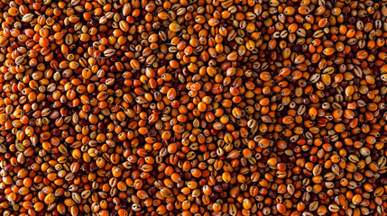background of sorghum seeds, Top view, Flat layout