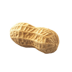 peanut isolated on white background clipping path