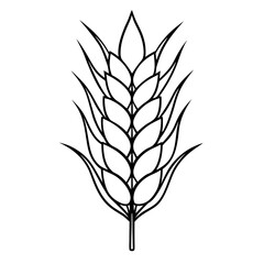 Fototapeta premium Wheat spike, agricultural plant illustration, simple line art on white background with copy space