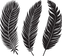Obraz premium Vector Art of Leaves and Feathers Silhouette