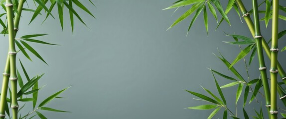 Naklejka premium Bamboo leaves with fine textures on a plain soft gray background