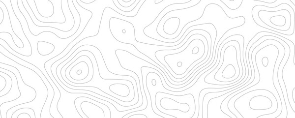 Lines Topographic contour lines vector map seamless pattern. White texture for your perfect interior. Abstract white paint floor stamped concrete surface pattern circle rough gray.	