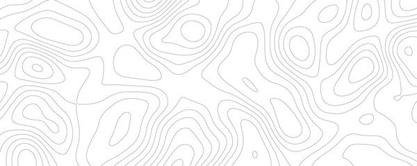 Lines Topographic contour lines vector map seamless pattern. White texture for your perfect interior. Abstract white paint floor stamped concrete surface pattern circle rough gray.	