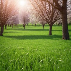 Fototapeta premium Beautiful spring meadow background with green grass and trees