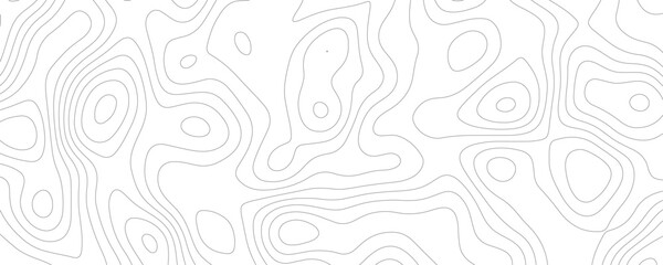 Lines Topographic contour lines vector map seamless pattern. White texture for your perfect interior. Abstract white paint floor stamped concrete surface pattern circle rough gray.	