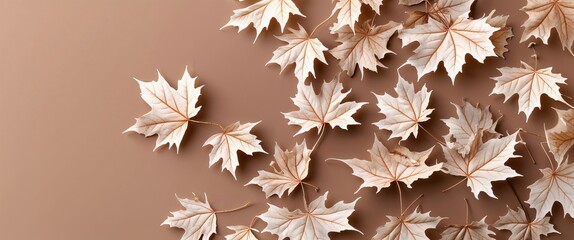 Fototapeta premium Maple tree leaves with prominent veins on a plain soft brown background