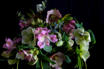 Close up luxury bouquet flowers hellebores in a glass vase on a black background. Moody flowers....