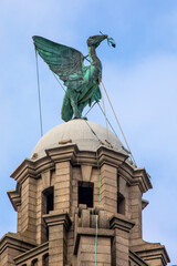 Liver Bird on the Royal Liver Building in Liverpool, UK