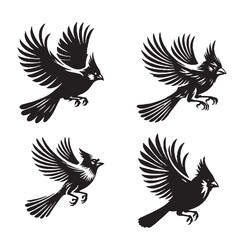 Fototapeta premium 4 set of black Vector Silhouette of a Flying Northern Cardinal on White Background