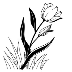 Tulip flower silhouette vector illustration.