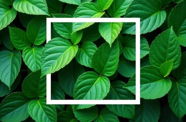 Green leaves frame background with lush foliage inside white square