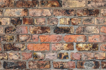Brick Wall Close-up